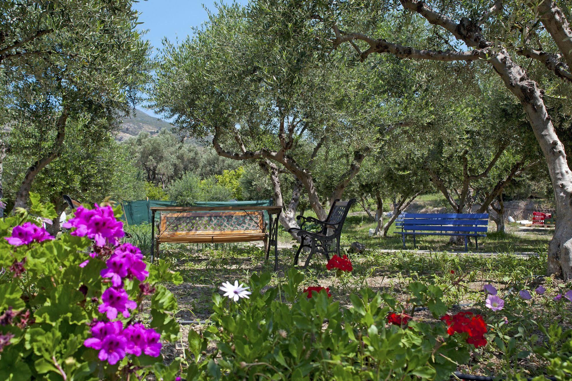 Aphrodite Samos Suites Marathókampos Exterior foto